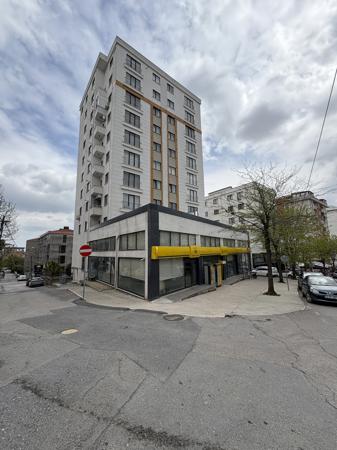 İSTANBUL PENDİK'DE 1+1 103 M2 SATILIK DAİRE (101022305)